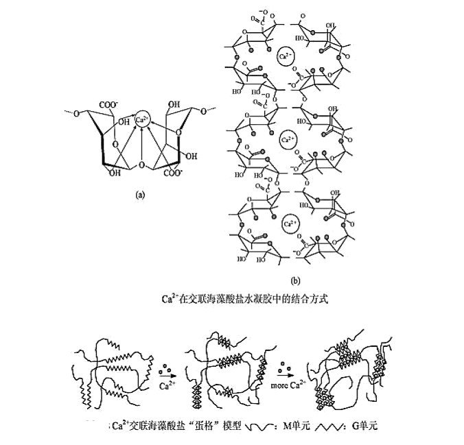 单向渗透性.jpg